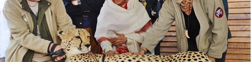 The President, Smt. Pratibha Devisingh Patil visiting the...