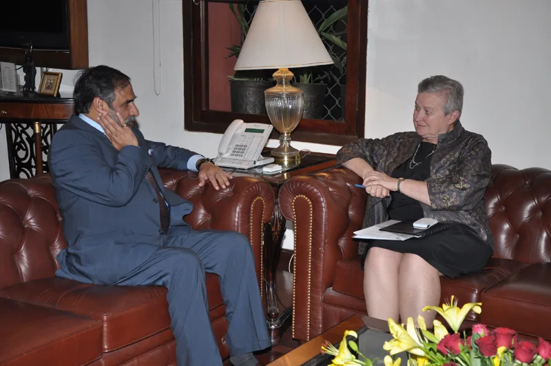The US Ambassador, Ms. Nancy J. Powell meeting the Union Minister for Commerce & Industry...