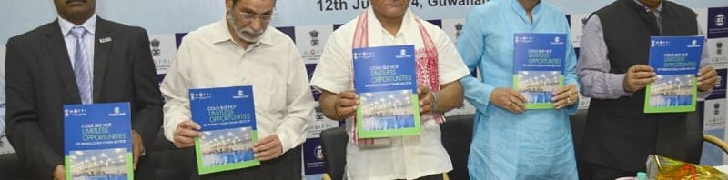 The Minister of State for Development of North Eastern Region (Independent ...