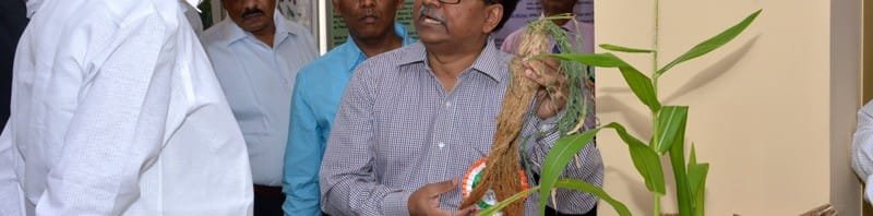 The Union Minister for Urban Development, Housing and Urban Poverty...
