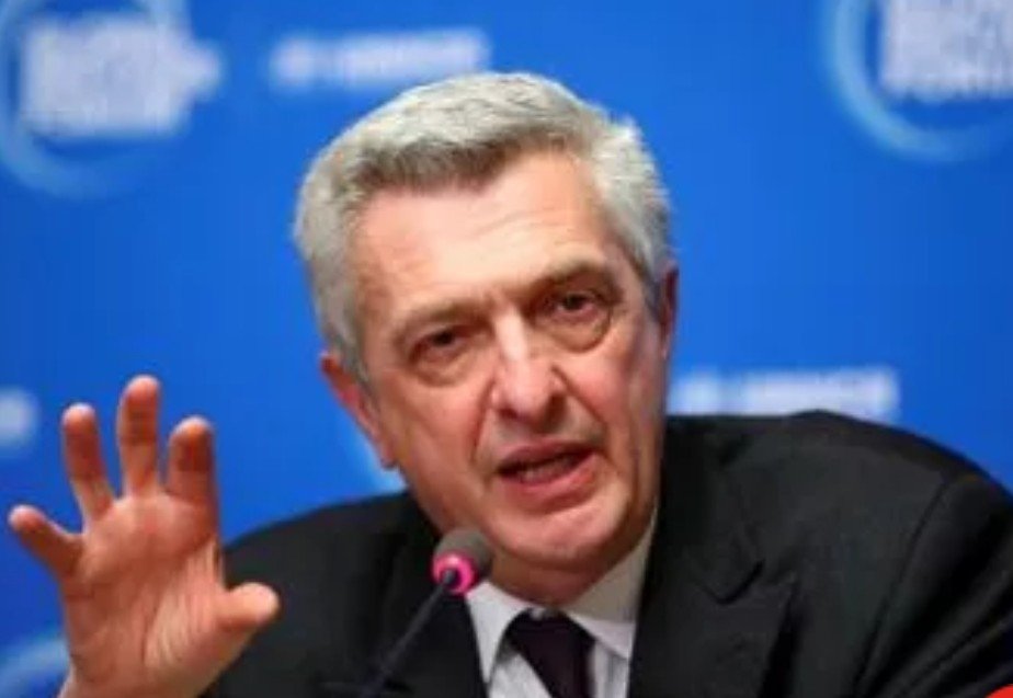 The world needs to prepare  for a surge in refugees with  potentially millions of people being  driven from their homes by the  impact of climate change.