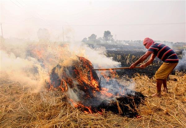 Supreme Court appoints former Judge Justice Madan B Lokur to monitor steps to prevent stubble burning.