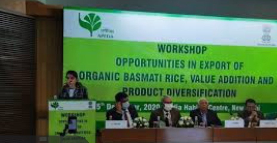 APEDA organises workshop on ‘Opportunities in Export of Organic Basmati Rice, Value Addition and Product Diversification’