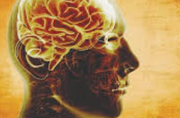 Supporting Schizophrenia: Necessary Interventions from the Indian Government