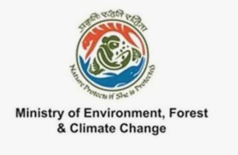 Yuvraj Pal Singh IRS-IT, appointed as Deputy Secretary, Ministry of Environment, Forest & Climate Change.